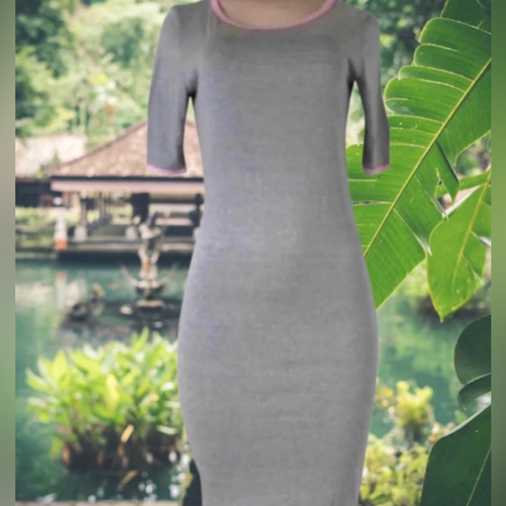 LuLaRoe Gray Pink Trim Julia Dress